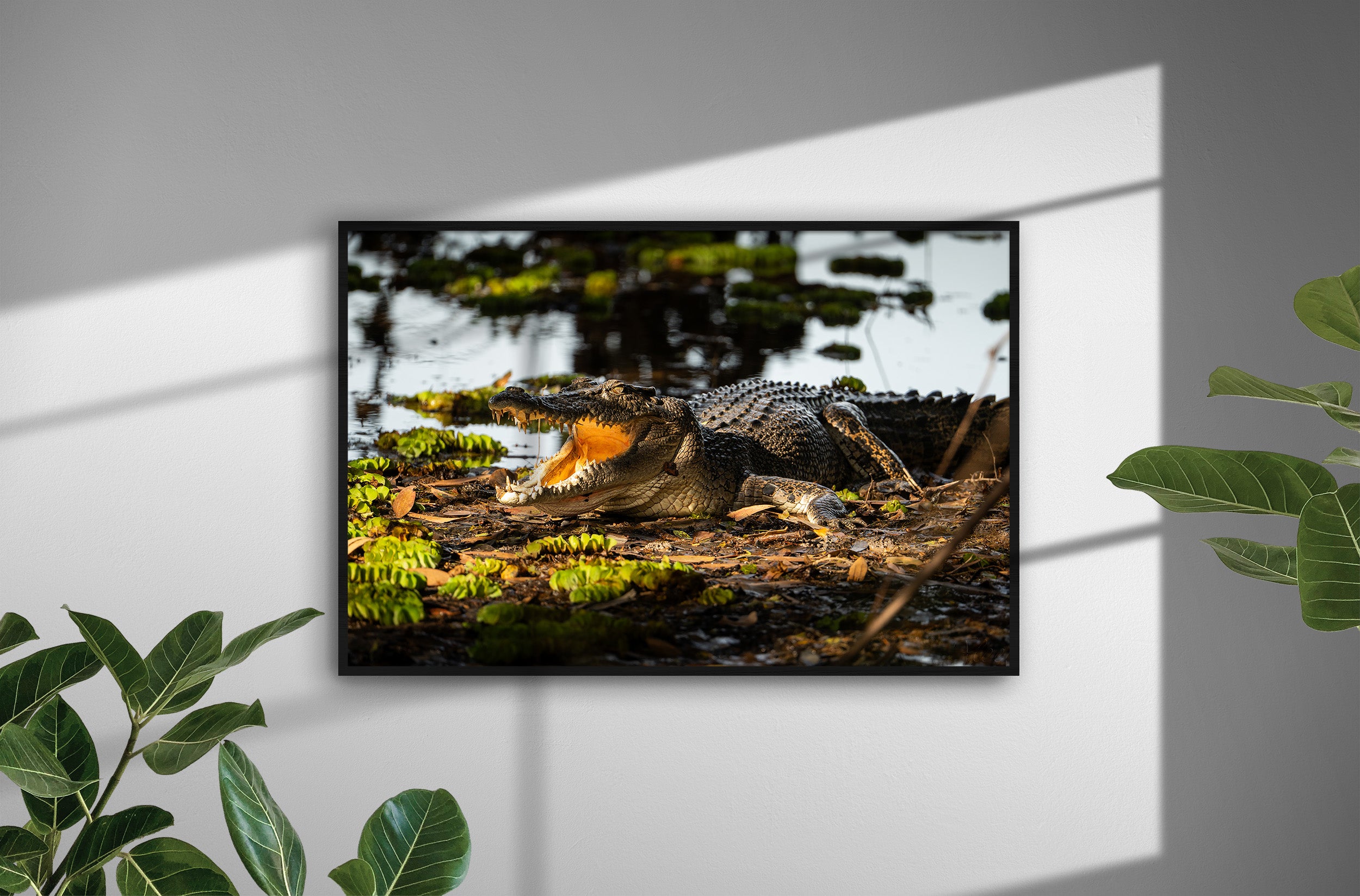 f79b4d6b-cc84-497e-98b3-f9e4e30a2700