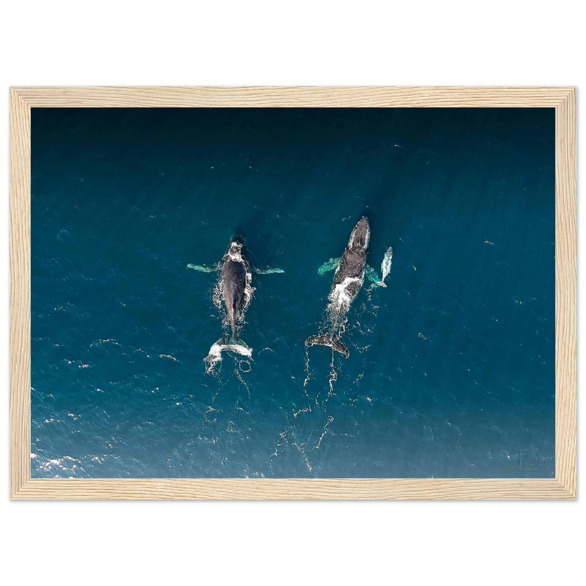 f80e7063-ac49-4eb6-8172-257f96faaeb2