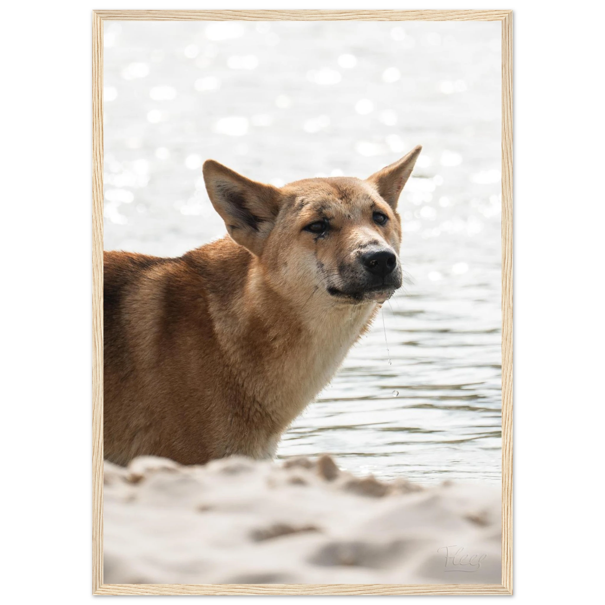 f8857459-3abc-4d67-a32a-c2fbae2f1d8b