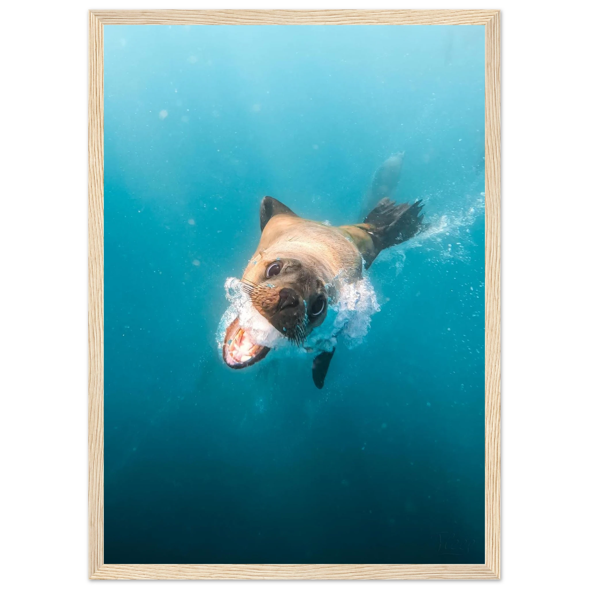 f8cbc041-e6d6-4073-a5cf-769675210193