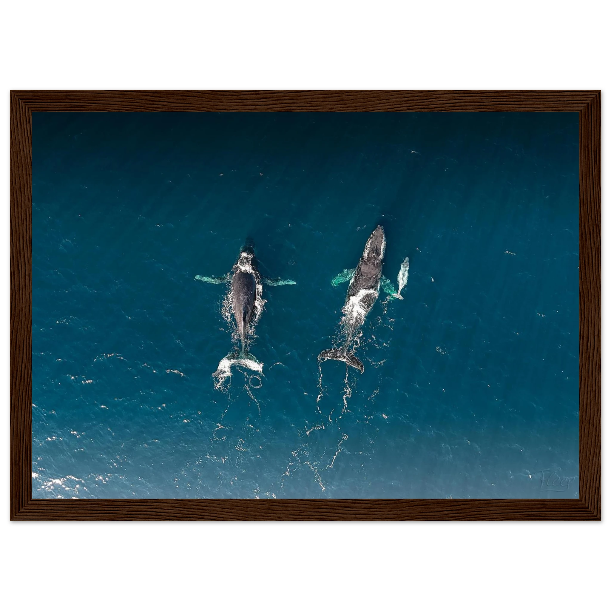 f9abdf67-5db1-4a8e-bd1c-c56c05617451