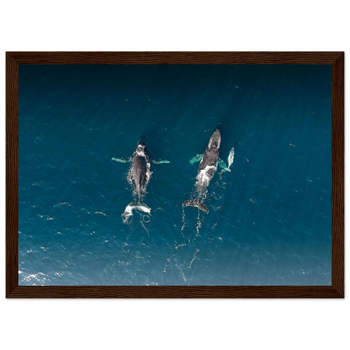 f9abdf67-5db1-4a8e-bd1c-c56c05617451