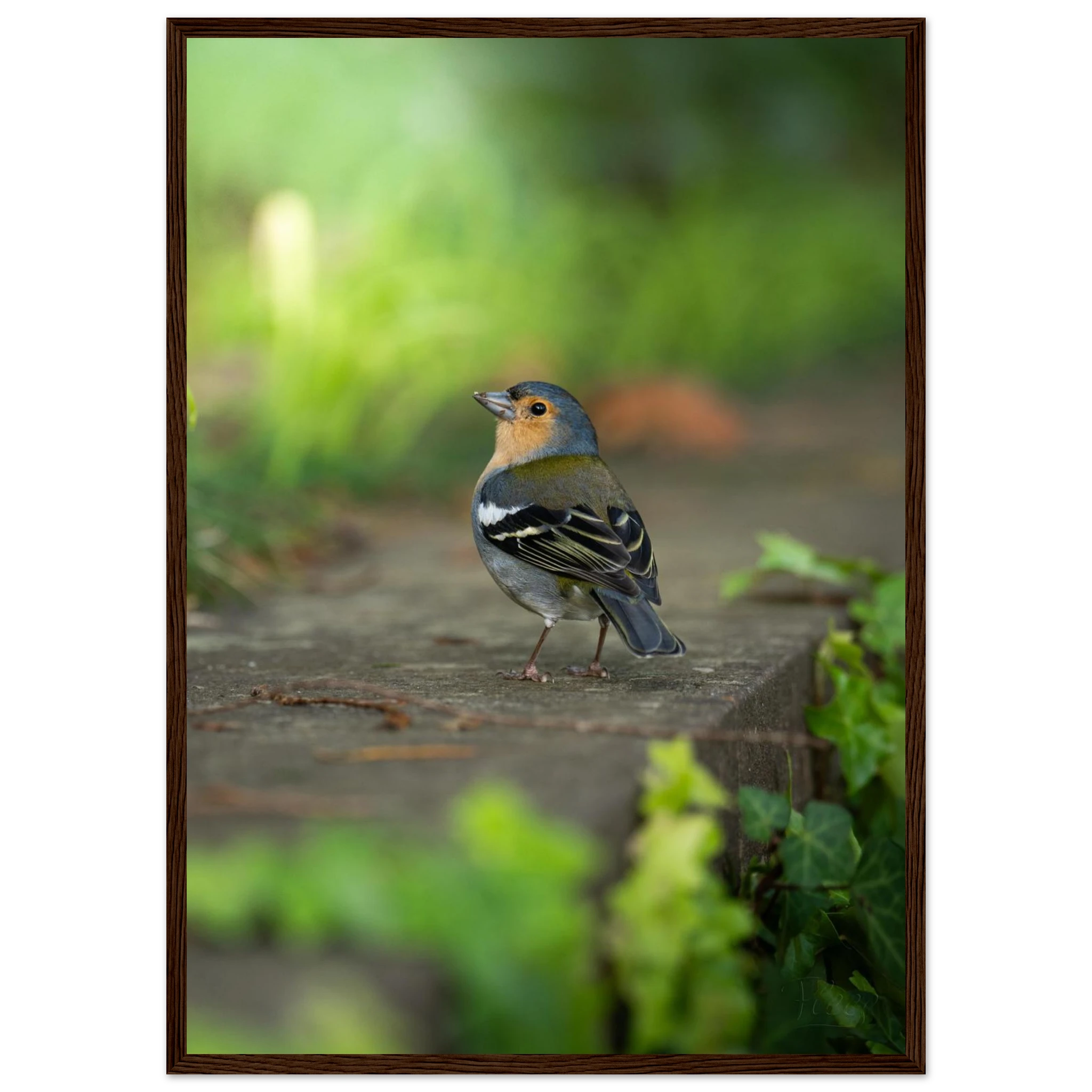 fa1188ea-3ab6-48f1-be5f-1893378e9533