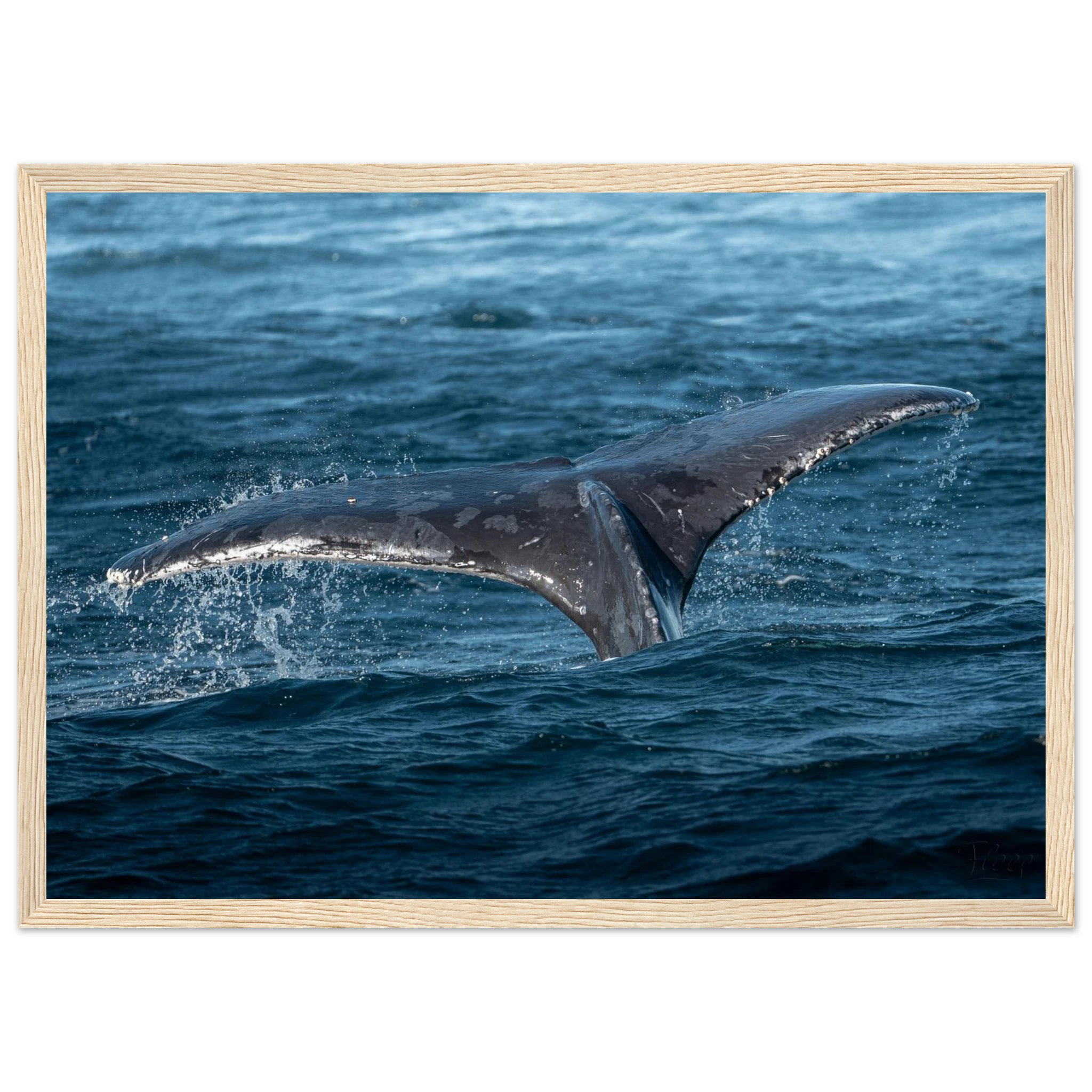 faa4dd0d-6839-426c-a689-844882299a4b