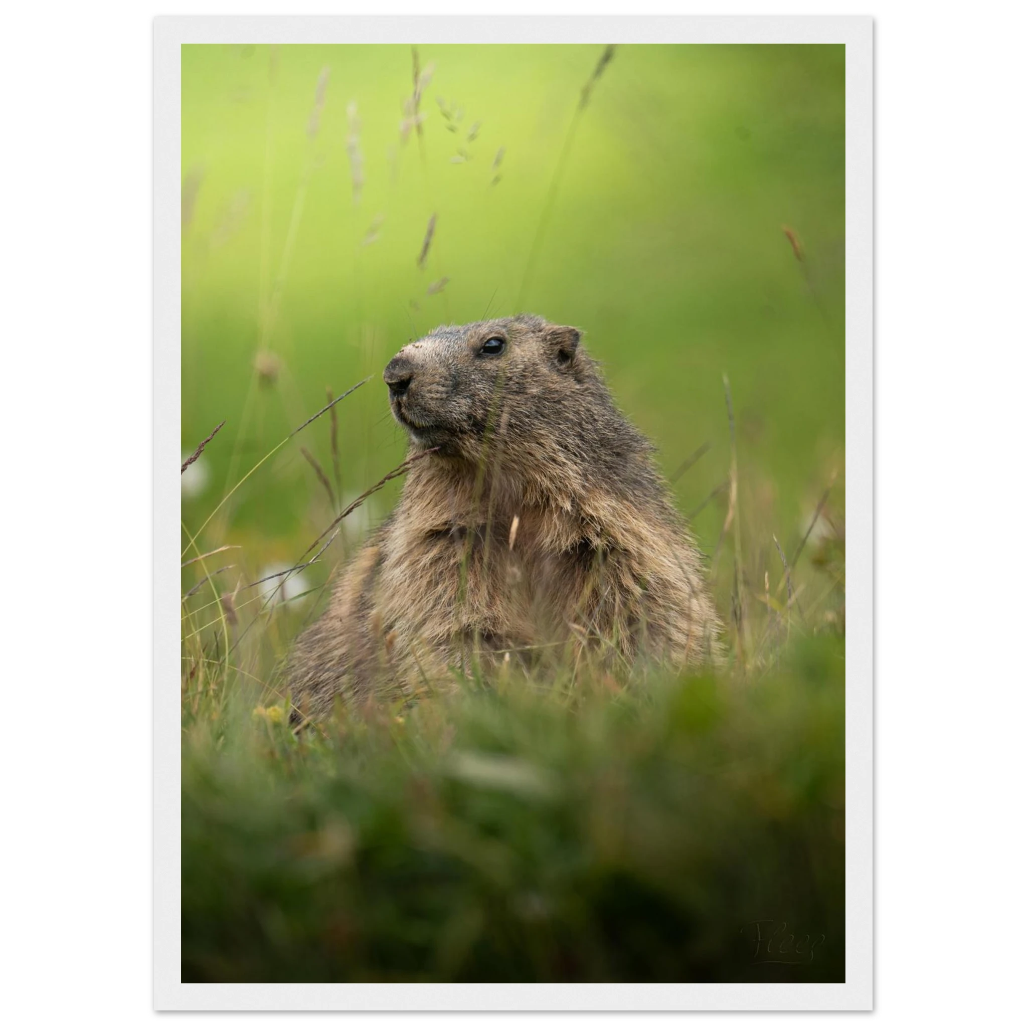 fac139f2-f74a-414d-98d0-578e0759284b