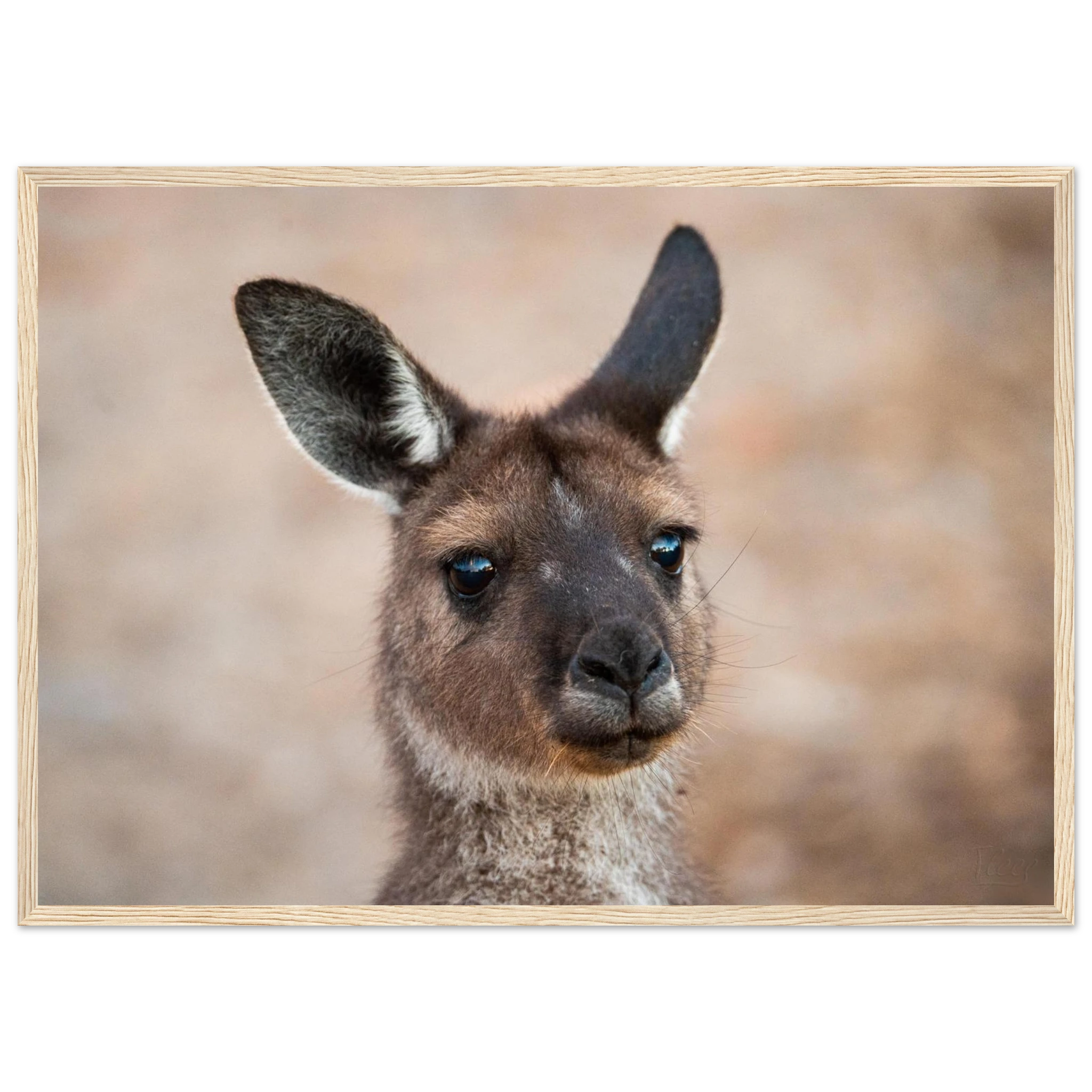 fad75b74-2d03-47bb-94f2-2067c07860ed