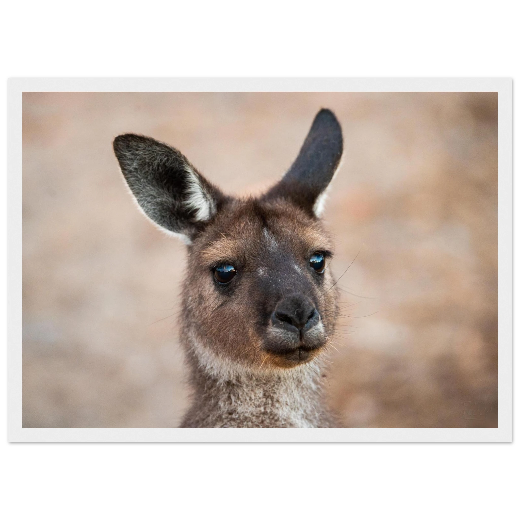 fbe9607e-3654-47d4-a39c-09c4d47dcec9