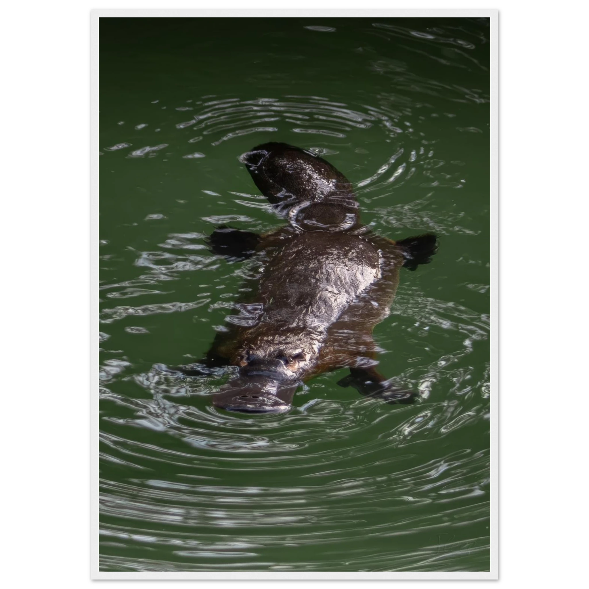 fc796f1b-add6-4b37-956f-ed3eeac8dfa9