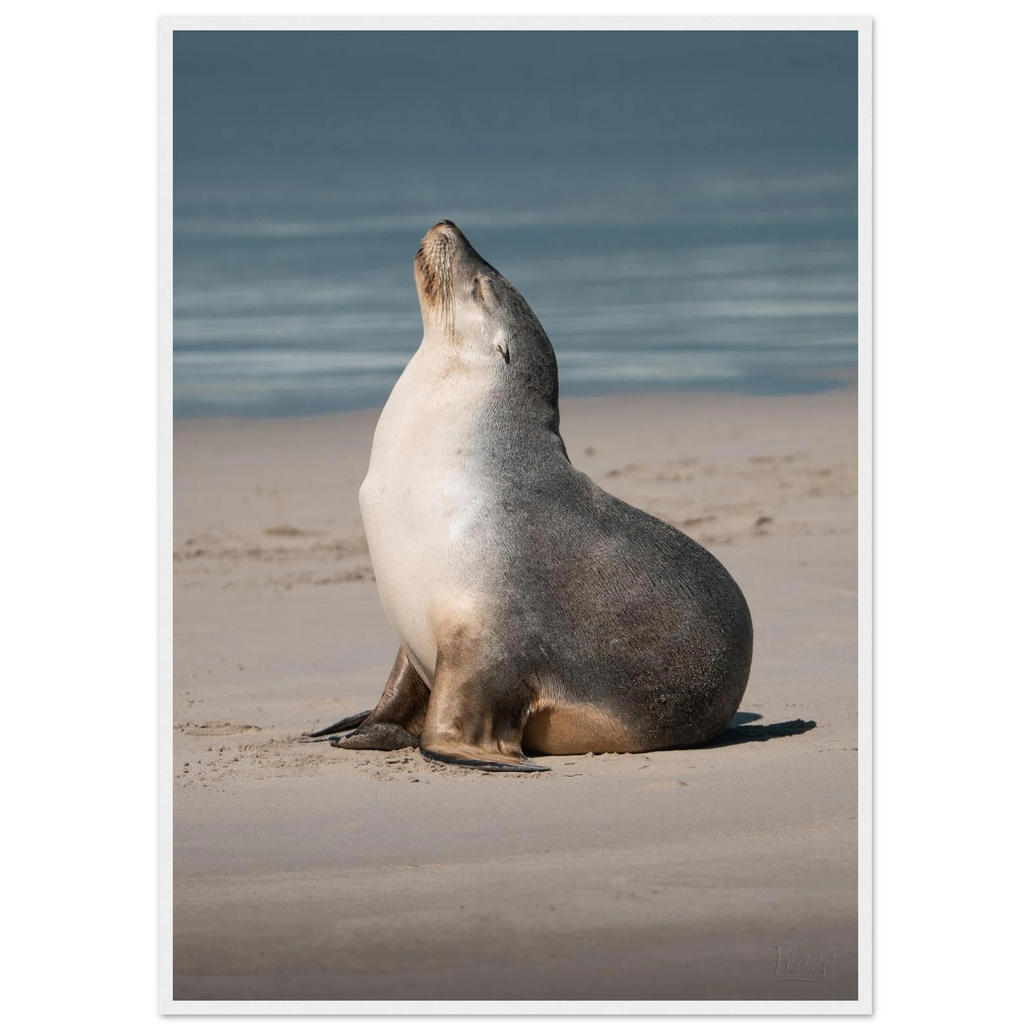 fd22eeb3-1415-4c6d-9d24-db5d0b8d8f3f