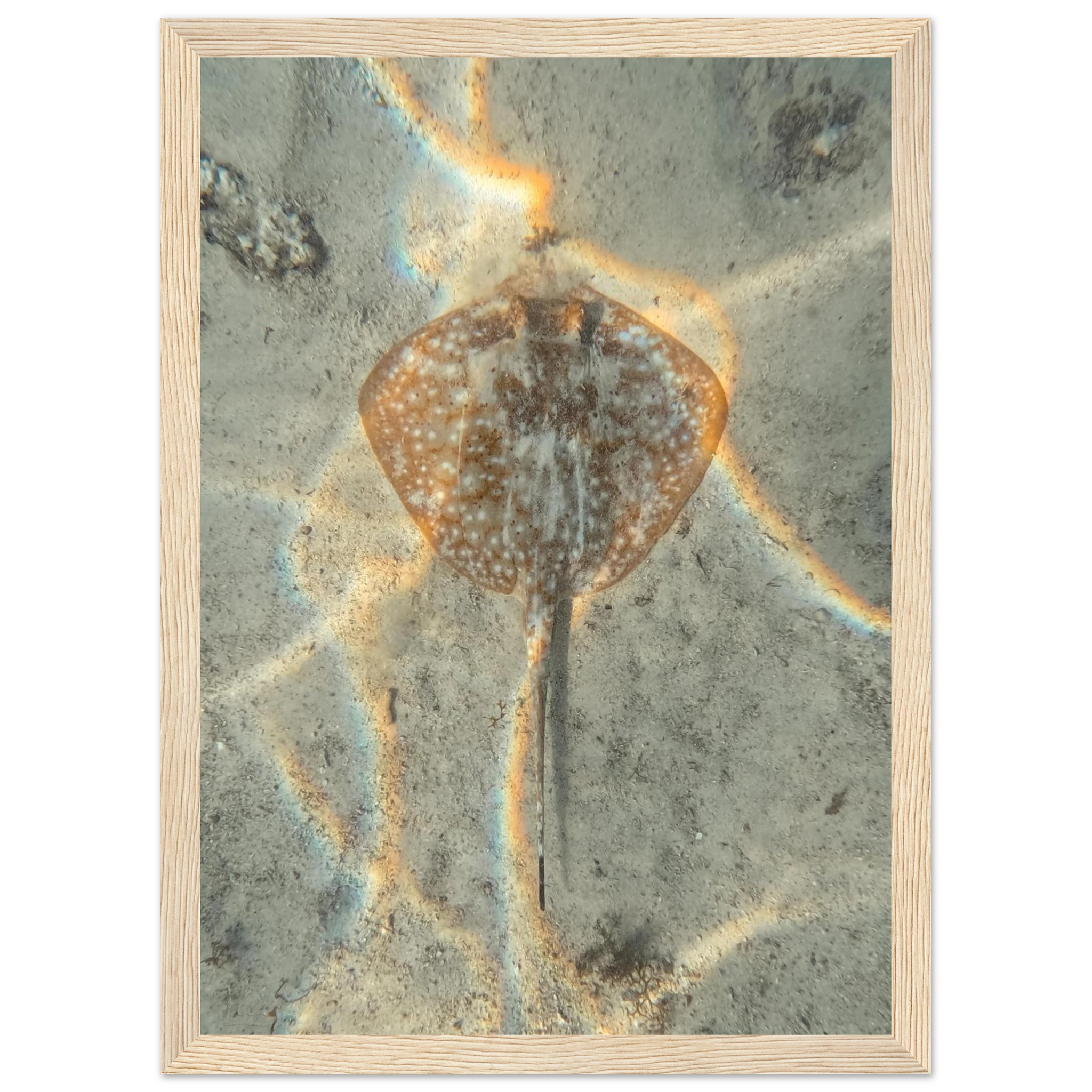 fd94f6a0-aa0e-4000-a79d-67deed8b6313