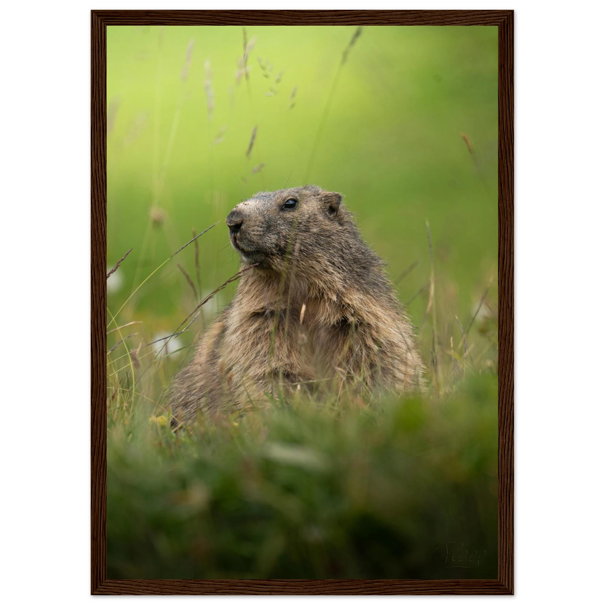 fe112332-efc9-4a2a-9973-e8bedadb94f2