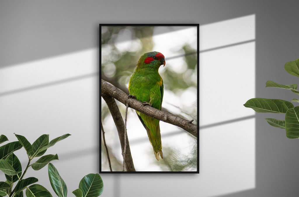 ff564d2e-6889-400c-b15e-d779bf2c66ae