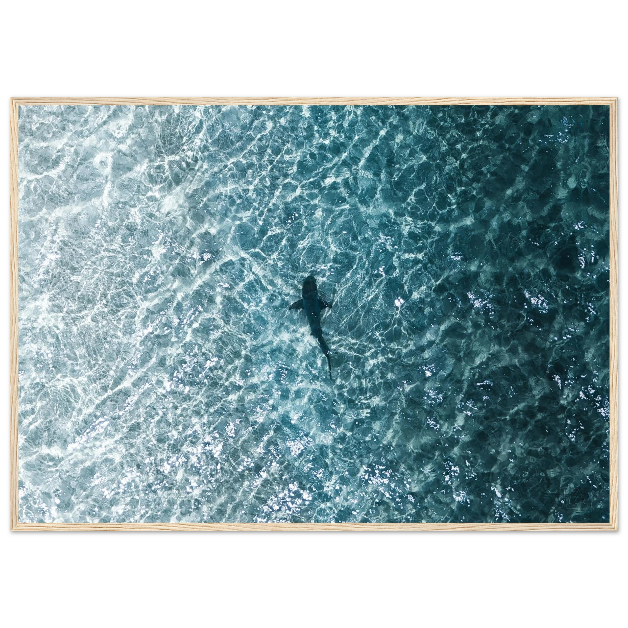 ff84637d-26c0-4c63-81a0-a60a35c67bf8